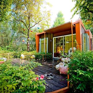 Family Room Garden View
